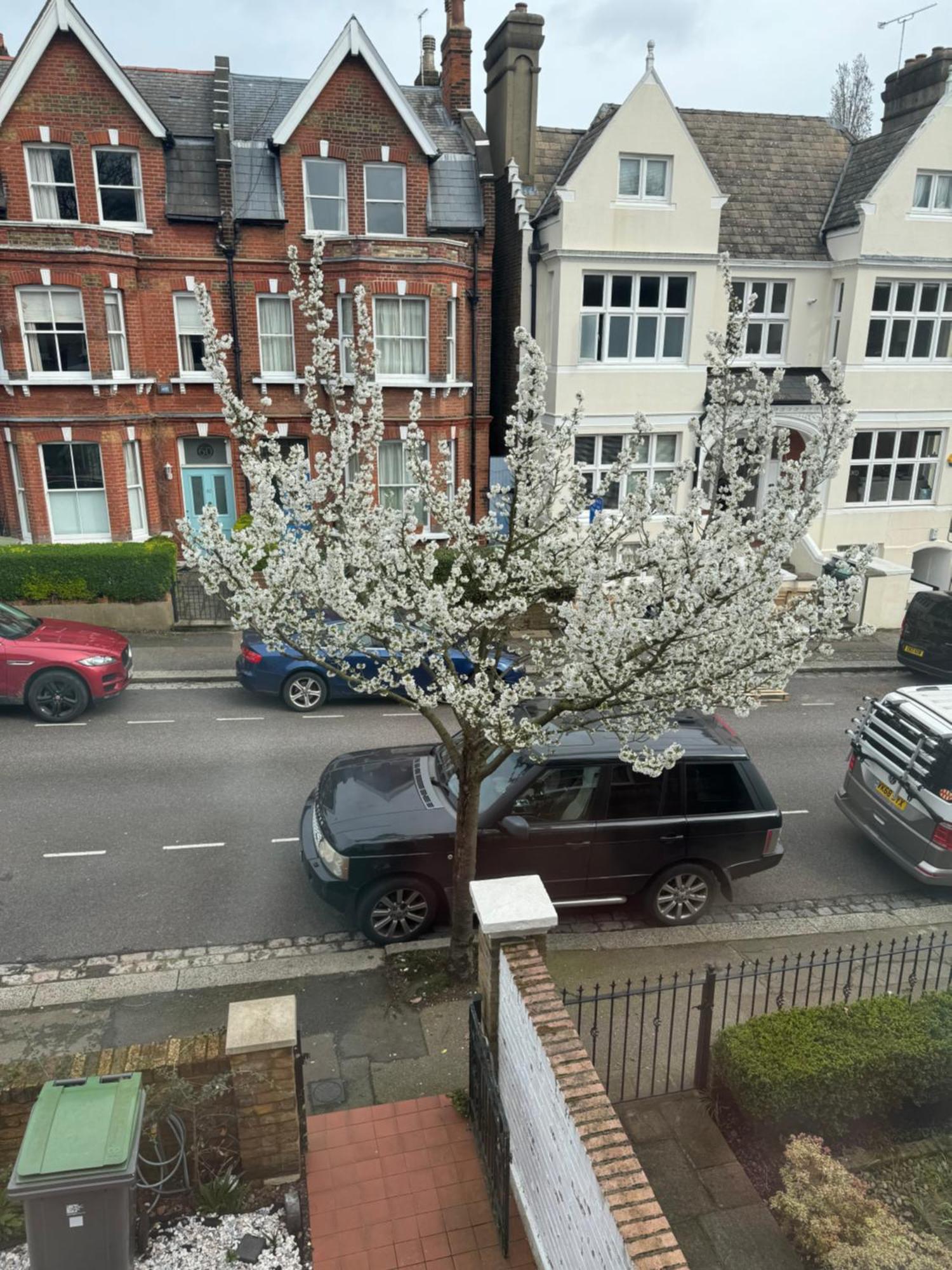 Venlo * Londra